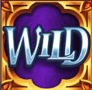 Wild Symbol slot game